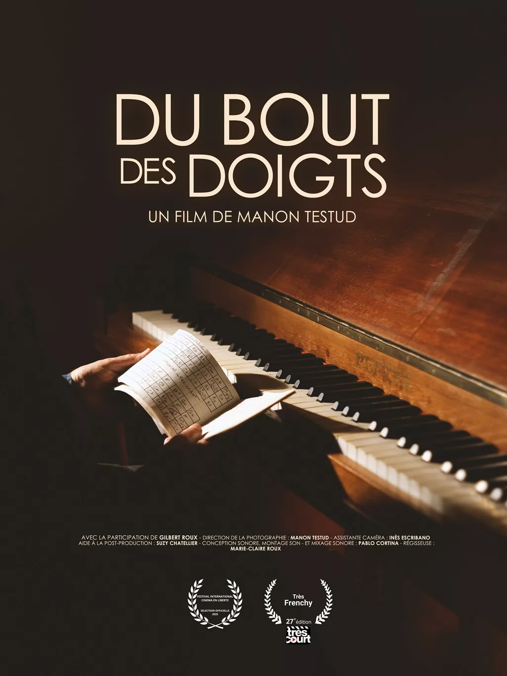 Affiche La Vénus au fil de fer