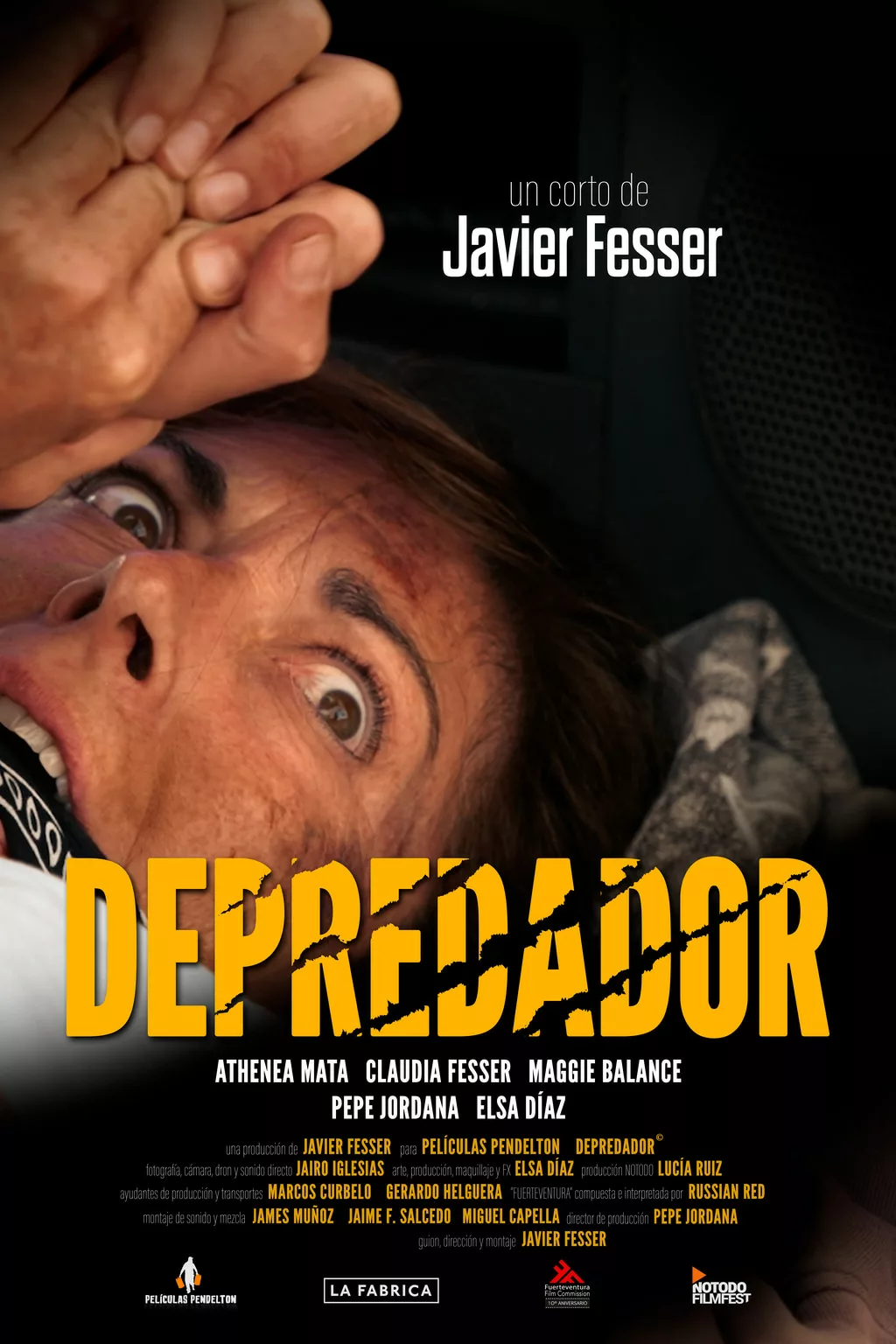Affiche La Vénus au fil de fer