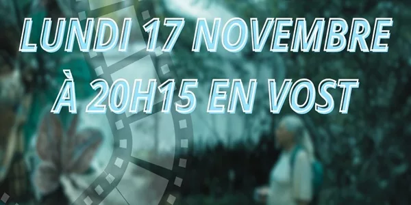 Novembre s’allume sous les Lumières du Sud 83