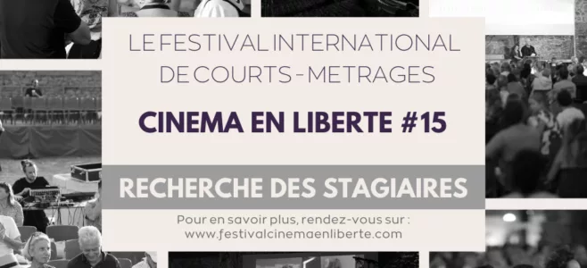 Appel à stagiaires // Festival Cinéma en Liberté 2026
