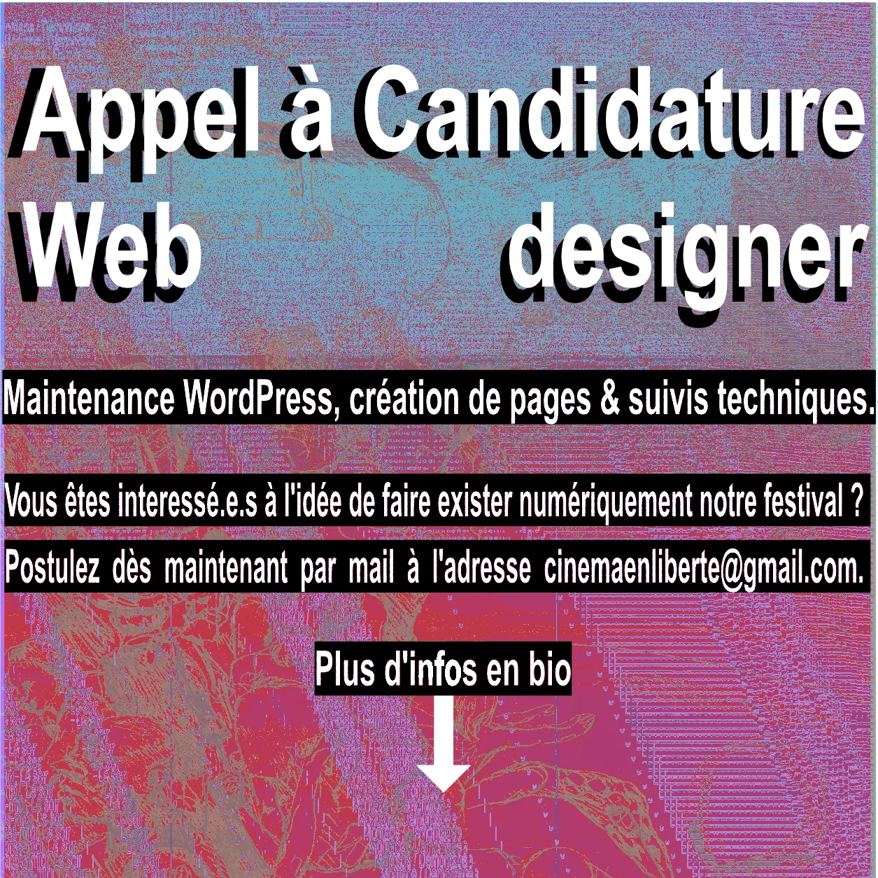 RECHERCHE WEB DESIGNER / WEBMASTER