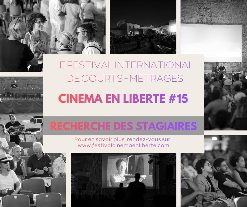 Festival cinéma en liberté