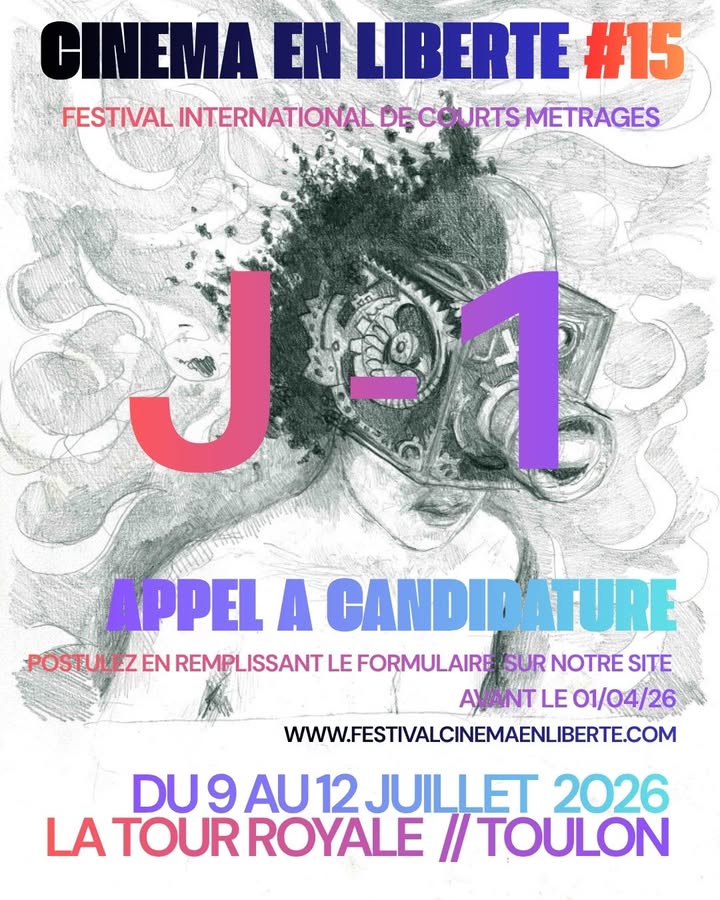 Festival cinéma en liberté