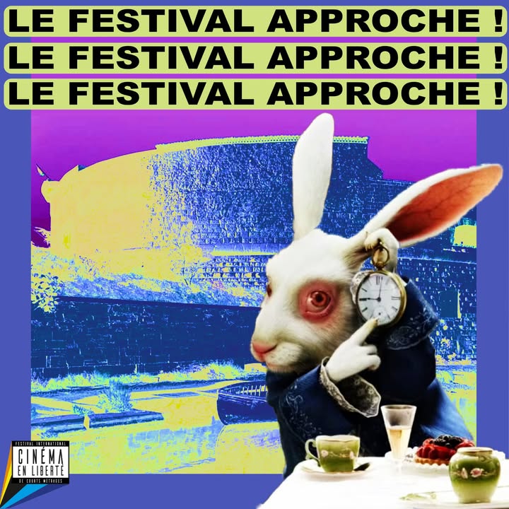 Festival cinéma en liberté