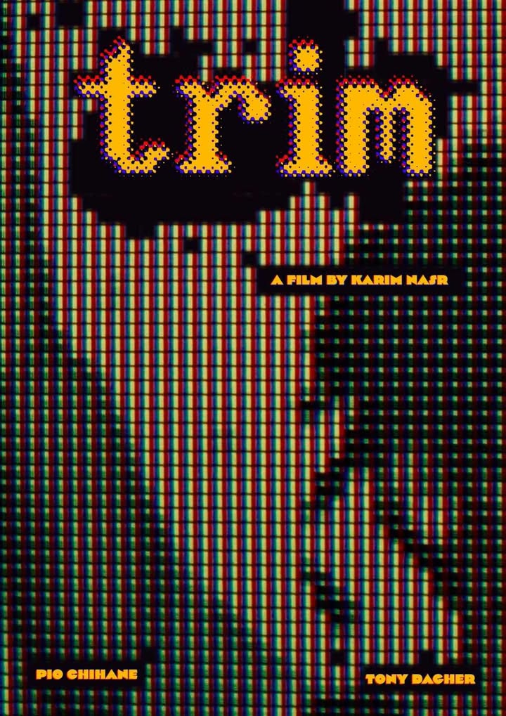 Festival cinéma en liberté