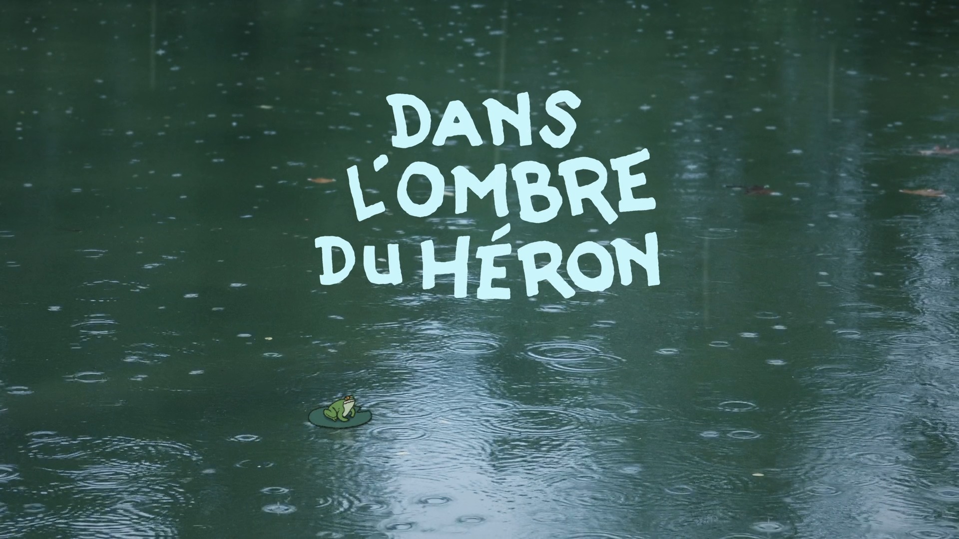 Festival cinéma en liberté
